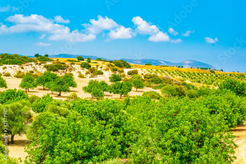 Hilly countryside of Cyprus near Akamas peninsula photo