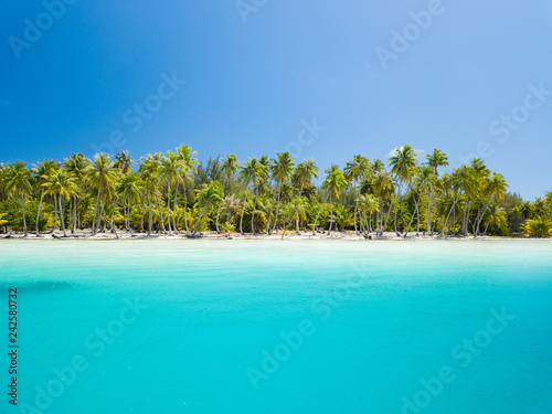 Coconut palm trees with blue sky. Travel tourism at Bora Bora island, Tahiti, French Polynesia, South Pacific Ocean.