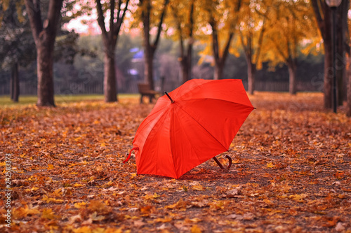 Fototapeta Naklejka Na Ścianę i Meble -  Red umbrella in the autumn