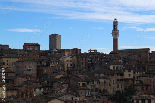 Panoramic view of Siena old town from above with Torre del Mangia  Italy