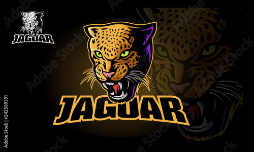 Jaguar Vector Logo Template. Vector illustration of a big cat jaguar or leopard head. Jaguar head in color. 