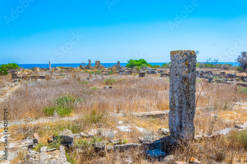 Ruins of ancient Salamis archaeological site near Famagusta, Cyprus photo