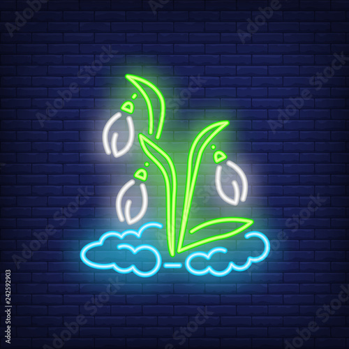 Snowdrops neon sign. Snow, flowers, bud on brick wall background. Vector illustration in neon style for topics like spring, march, blooming