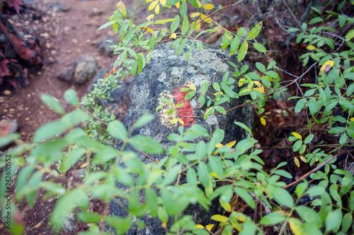 Tag on a stone on the way of a tourist track in the mountains of Turkey photo