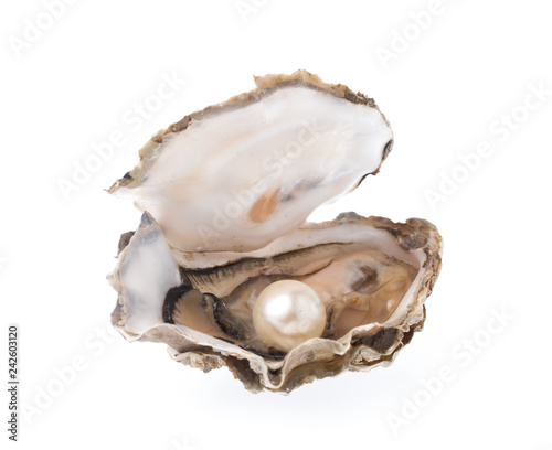 Open oyster with pearl isolated on white background photo