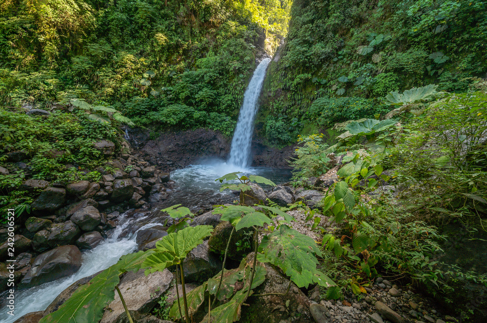 Obraz premium Rain Forest Blue Waterfall in Costa Rica
