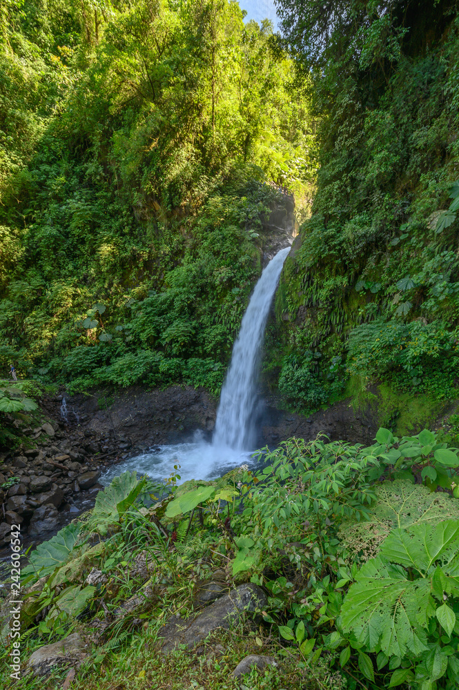 Rain Forest Blue Waterfall in Costa Rica