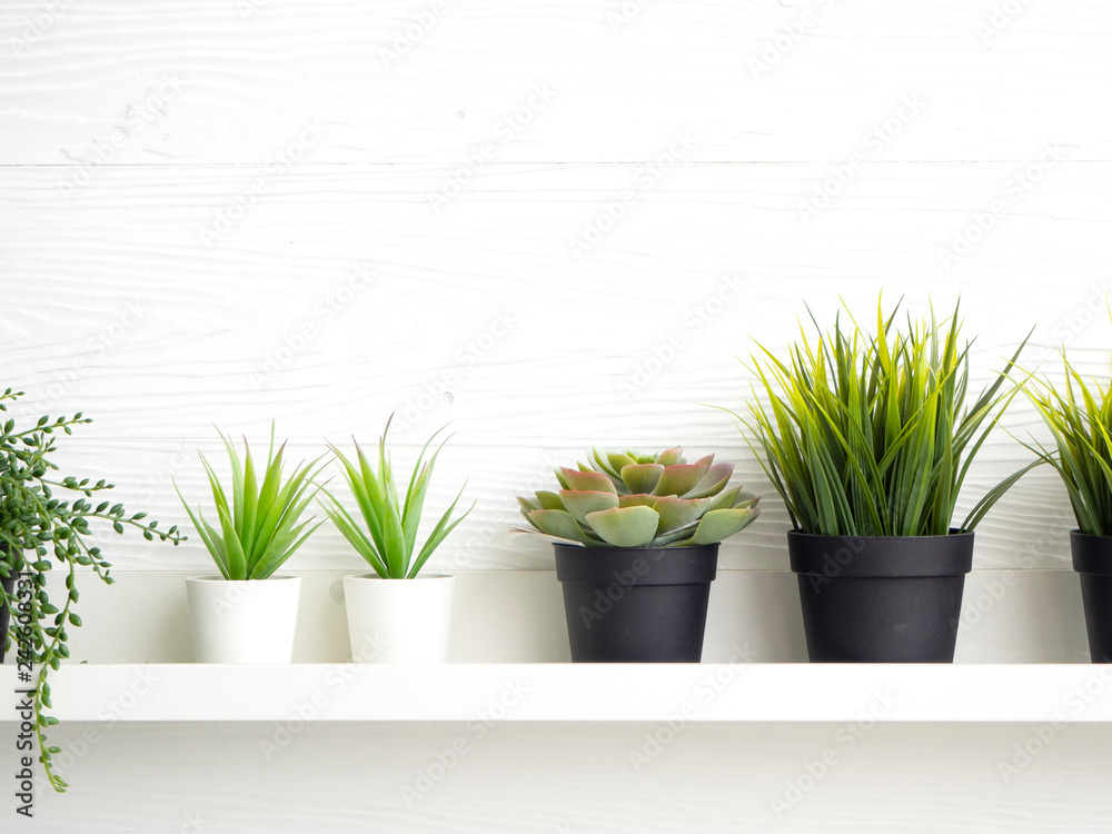 Pots with succulents on table Pots with succulents on table