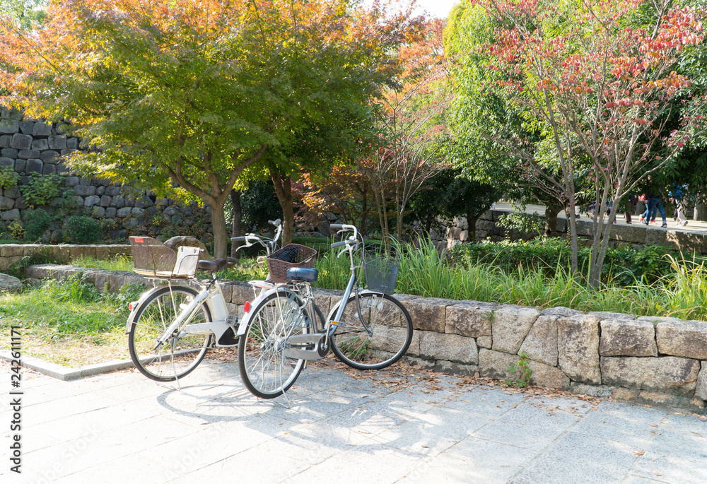 Bicycle riding is a favorite activity for visitors to see beautiful scenery around Osaka castle park in autumn when leaves change the colors.