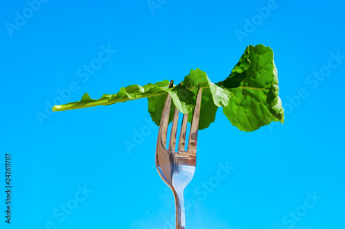 Arugula green salad leaf on metal fork close-up on blue background,
