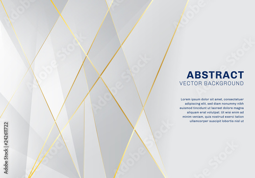 Abstract polygonal pattern luxury on white and gray background with golden lines.