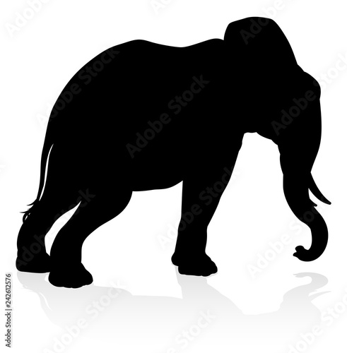 An elephant safari animal s...