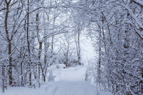Beautiful view of snow covered trees, path and steps in a snowy forest on a cloudy day in the winter in Tampere, Finland.