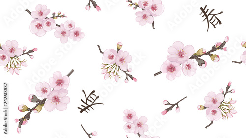 Theme design textiles, wallpaper, packaging, printing. Handmade Seamless pattern in oriental style. Fresh sakura flower pattern. Rose on white background.
