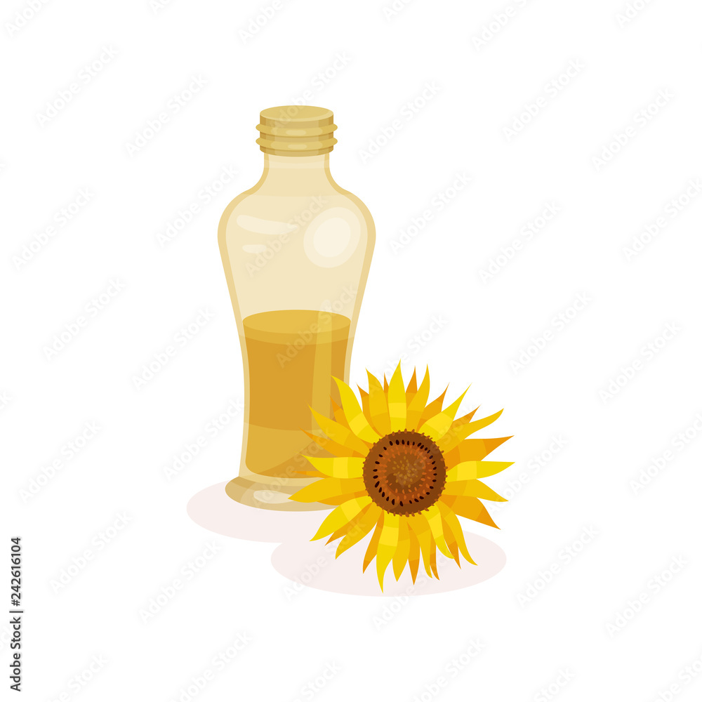 Glass bottle of fresh oil and sunflower. Ingredient for cooking dishes. Natural product. Flat vector design Glass bottle of fresh oil and sunflower. Ingredient for cooking dishes. Natural product. Flat vector design