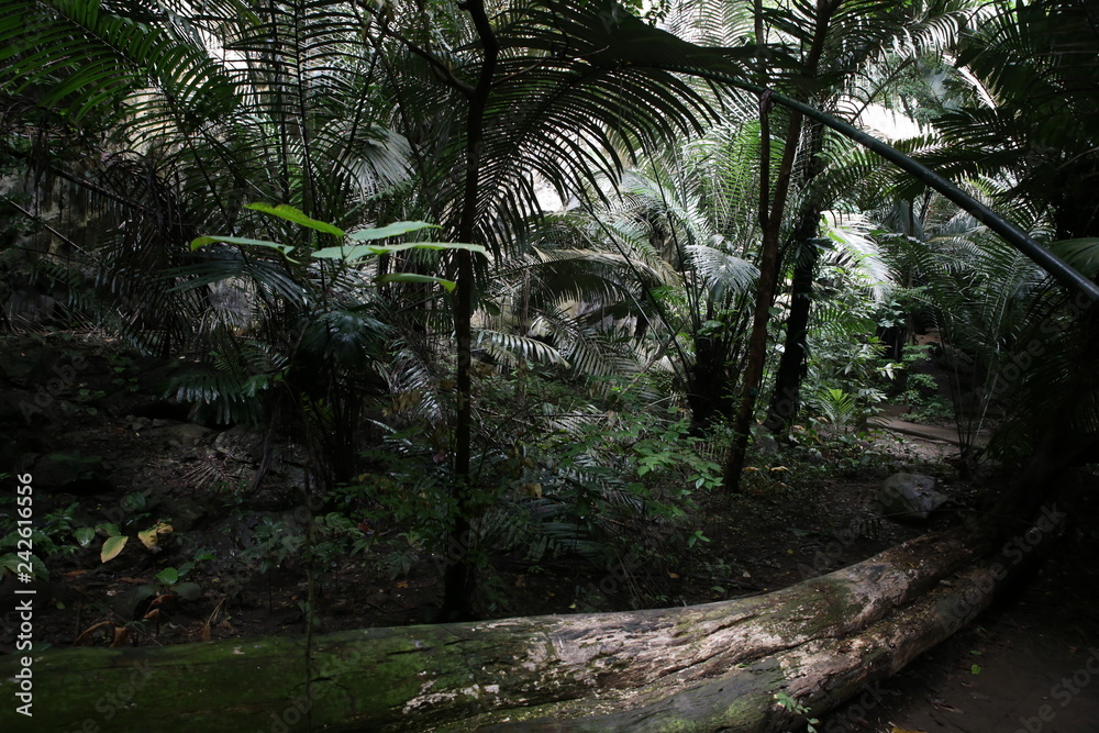 Fototapeta premium Nature in Uthai Thani, Thailand