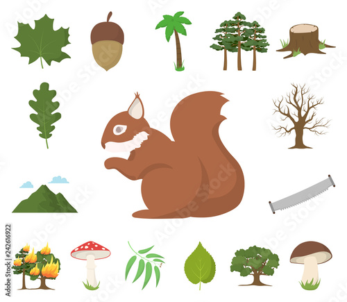 Forest and nature cartoon icons in set collection for design. Forest life vector symbol stock web illustration.