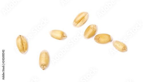 Wheat grains isolated on white background, macro top view
