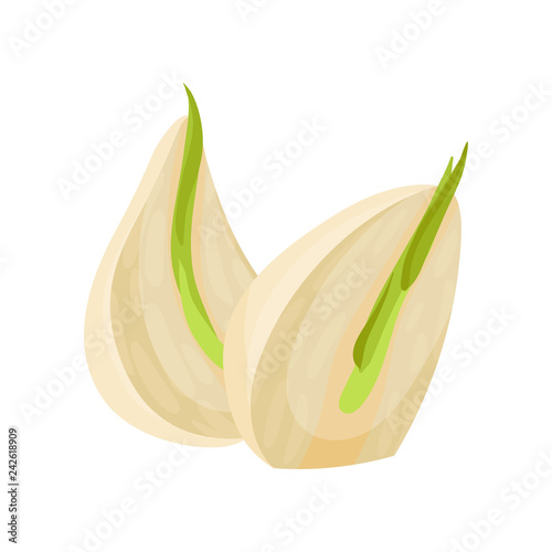 Flat vector icon of two sprouted cloves of garlic. Aromatic plant. Culinary ingredient. Natural product