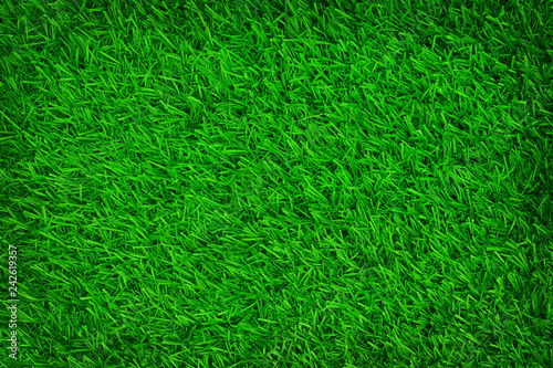 Wallpaper Mural Top view of artificial green grass texture background. Torontodigital.ca