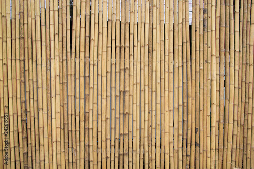 Bamboo Pattern Wall. Bamboo Background