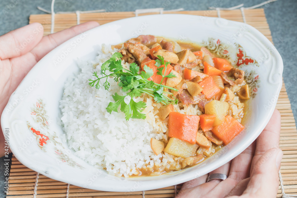Curry rice of japan.Food Japan Concept. Curry rice of japan.Food Japan Concept.