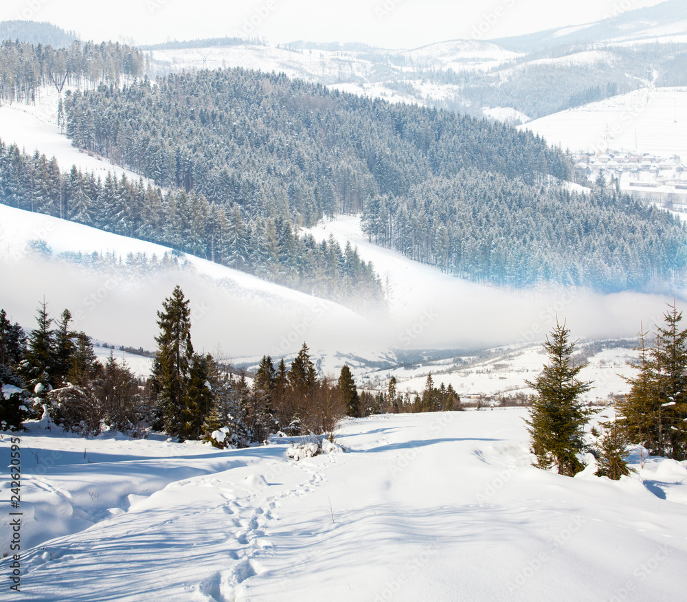 Carpathian mountains in winter, sunny frosty day