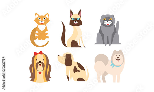 Cats and dogs of different breeds set, cute pets, domestic animals, best friends vector Illustration