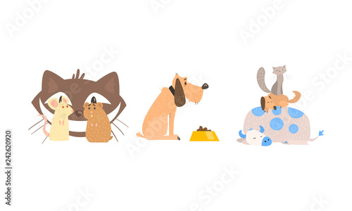 Funny animal characters in different situations, cat and mice, dog, sleeping animals vector Illustration