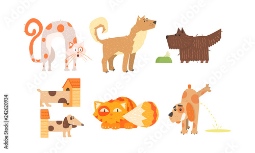 Funny cats and dogs of different breeds, cute animals in different situations, best friends vector Illustration