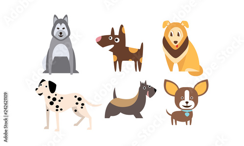 Dogs of different breeds set, cute pets, domestic animals, best friends vector Illustration