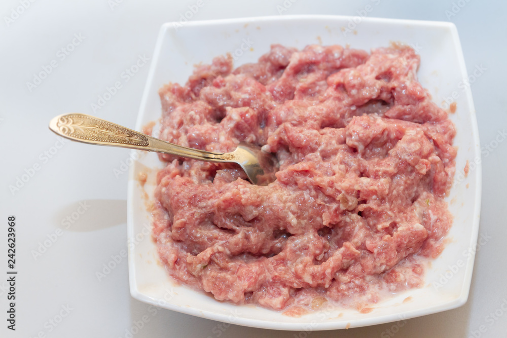 Raw minced meat prepared for modeling dumplings in a white plate Raw minced meat prepared for modeling dumplings in a white plate