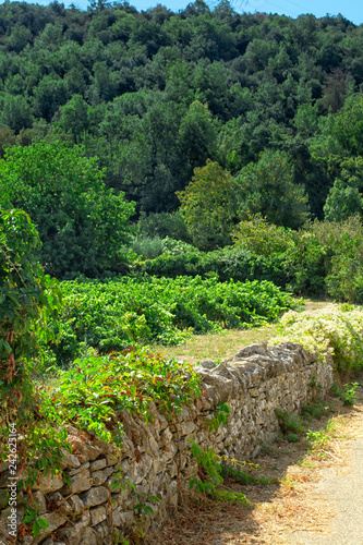 paysage d'Ardèche © ALF photo