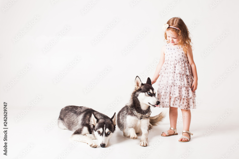 Two brothers huskies and girl isolated on white