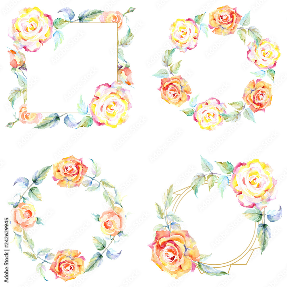 Orange rose. Floral botanical flower. Frame border ornament square. Orange rose. Floral botanical flower. Frame border ornament square.