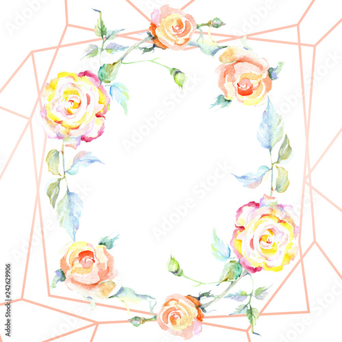 Orange rose. Floral botanical flower. Frame border ornament square.