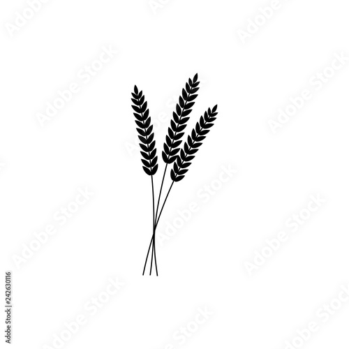 vector illustration of wheat, rye or barley ears with whole grain, black silhouette wheat, rye or barley crop harvest symbol or icon isolated on white background.