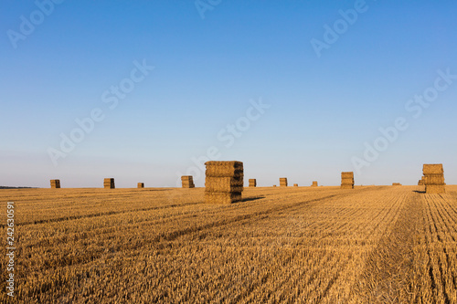 Freshly farmed hay on a field