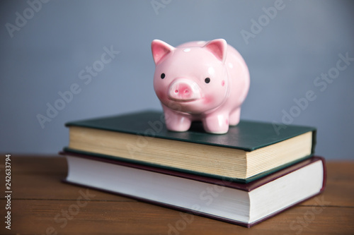 piggy bank on book