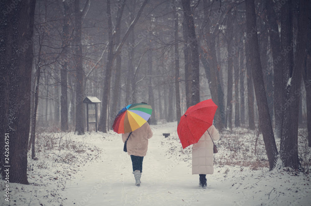 Two women walking in the winter forest