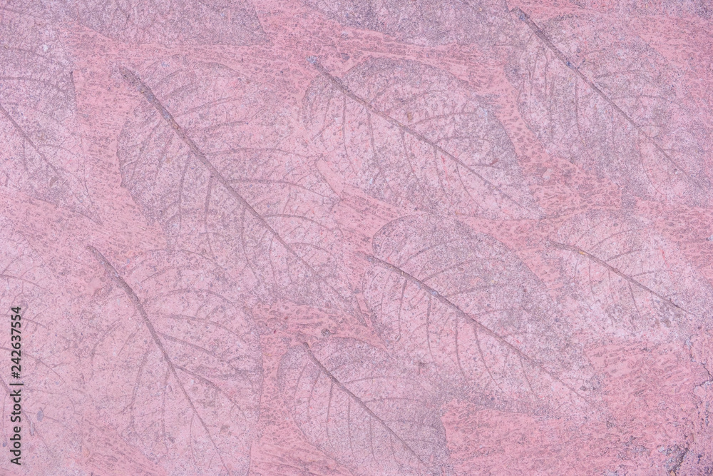 Blurred for Background.Pink cement floor with pattern surface made of leaves. Blurred for Background.Pink cement floor with pattern surface made of leaves.