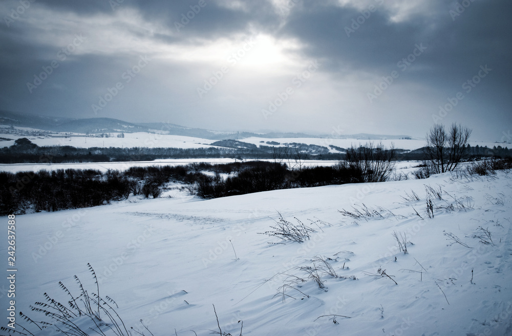 gloomy winter landscape with snow gloomy winter landscape with snow