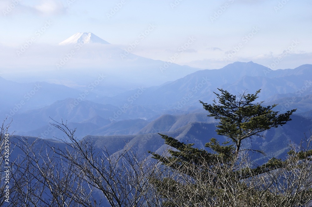 Obraz premium 三頭山から望む富士山