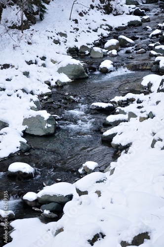 雪の本谷川