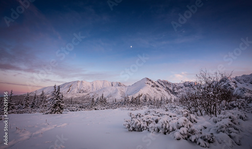 Colorful winter evening in the mountains. View of  the snow-capped peaks with trees. Tatra mountian  Poland