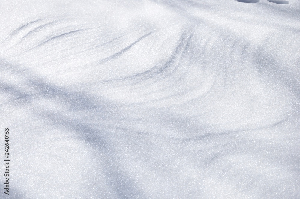 Obraz premium 雪上