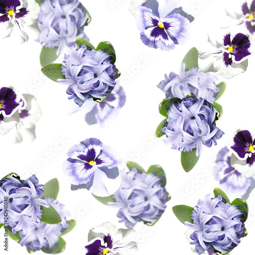 Beautiful floral background of pansies and hyacinth 