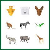 9 zoo icon. Vector illustration zoo set. kangaroo and rhino icons for zoo works