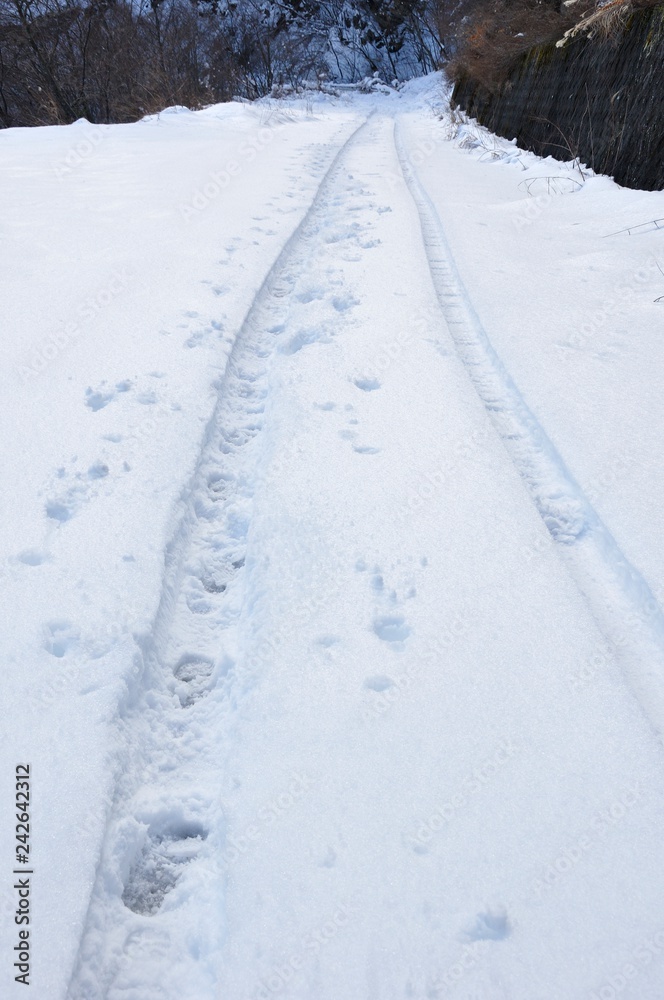 雪道の轍