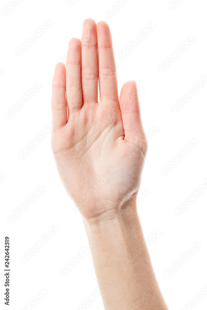 Female hand isolated on white background. White woman's hand showing symbols and gestures. Palm Female hand isolated on white background. White woman's hand showing symbols and gestures. Palm